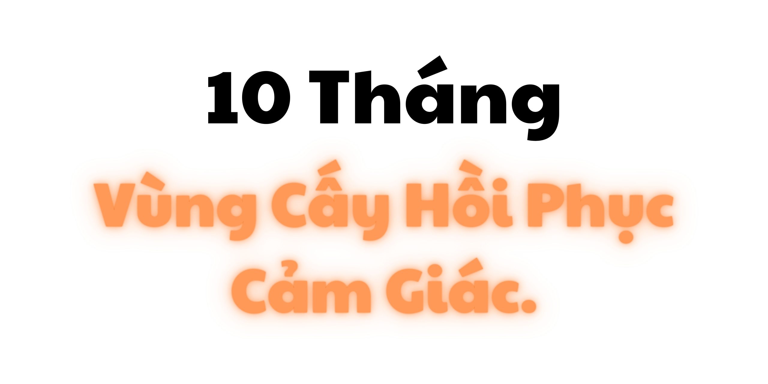 KẾT QUẢ 10 THÁNG SAU CẤY TÓC CHỮA HÓI THÀNH CÔNG VÙNG CẤY HỒI PHỤC CẢM GIÁC