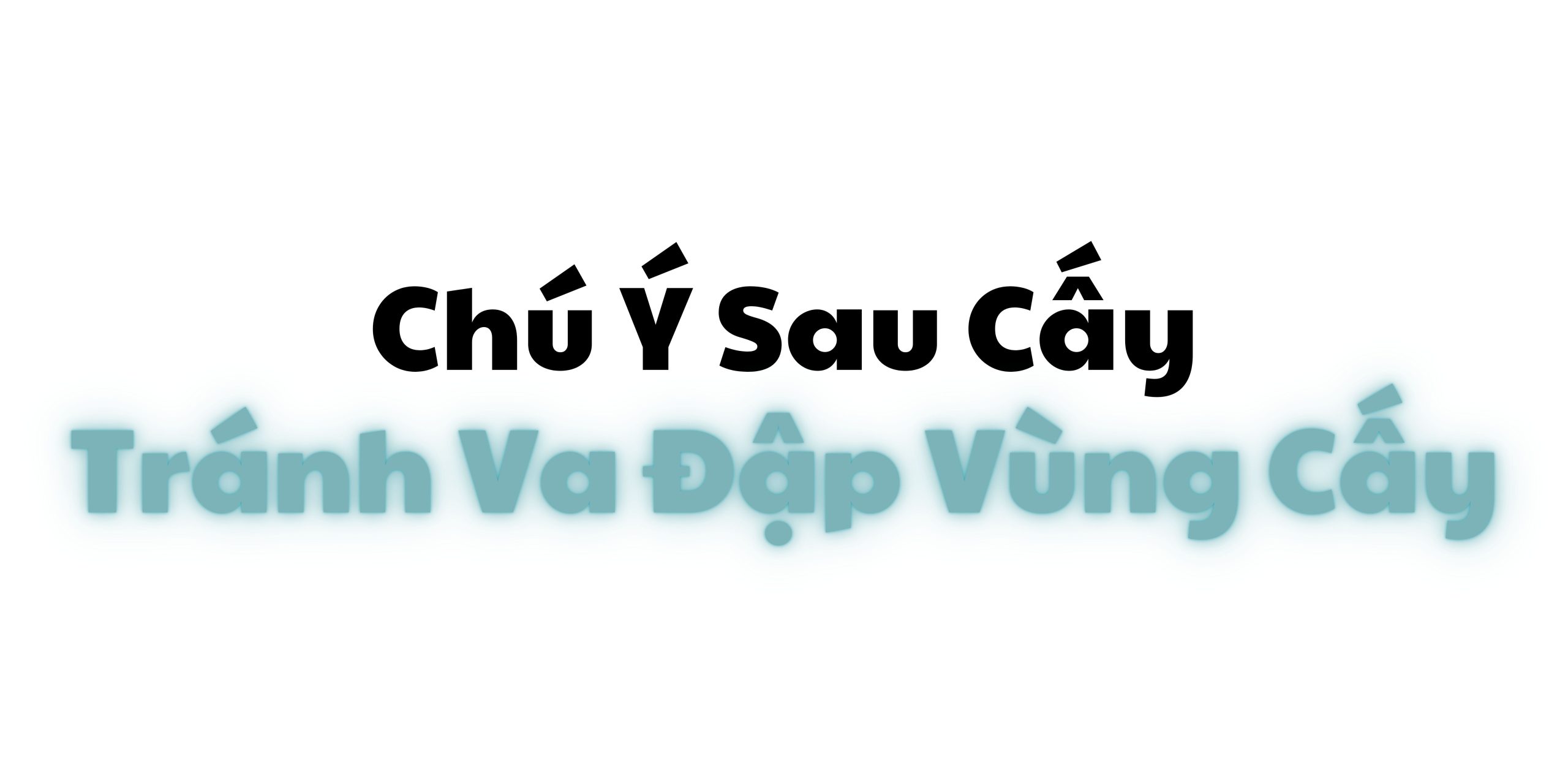 CHÚ Ý CHĂM SÓC HẬU PHẪU SAU CẤY TÓC CHỮA HÓI TRÁNH VA ĐẬP VÙNG CẤY TÓC