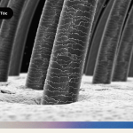 Chu Kỳ Tóc Hiểu Rõ Các Giai Đoạn Phát Triển Của Tóc