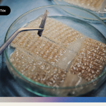 Công Nghệ Cấy Tóc FUE