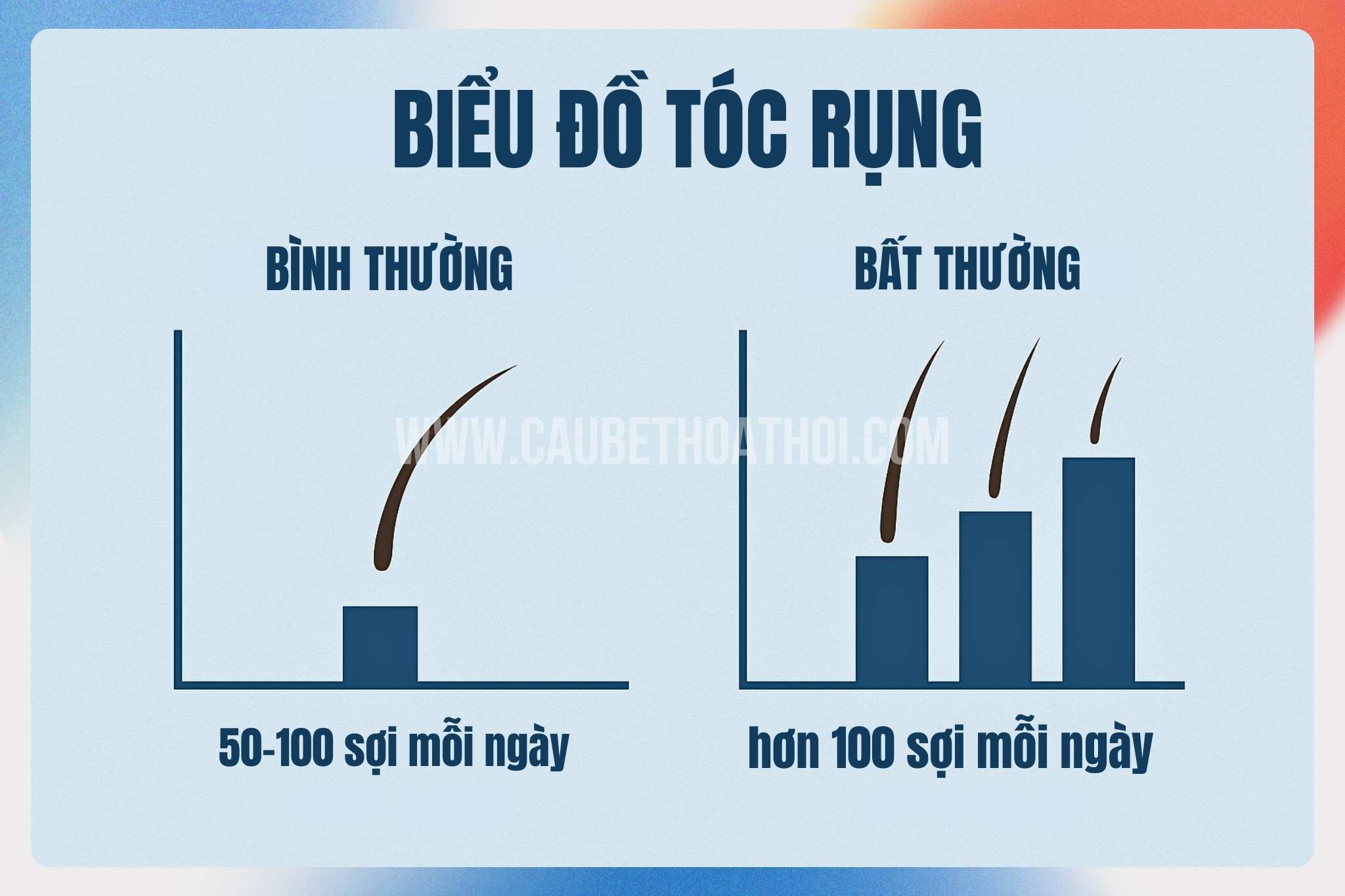 Bao nhiêu tóc rụng mỗi ngày là bình thường