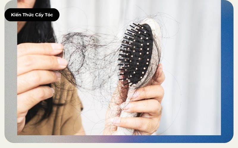 Rụng tóc có bình thường không Bạn rụng bao nhiêu tóc mỗi ngày